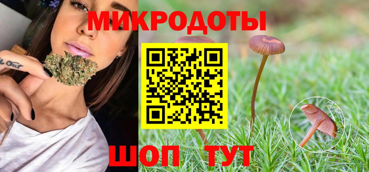 Александров  Галлюциногенные грибы Magic Shrooms  Вход с VPN 