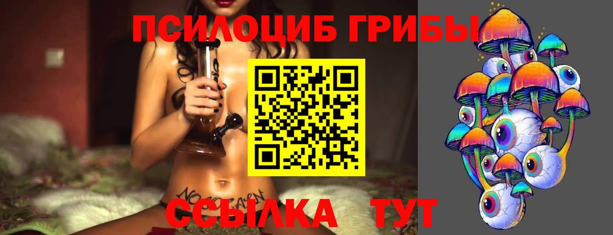 Псилоцибиновые грибы ЛСД Александров