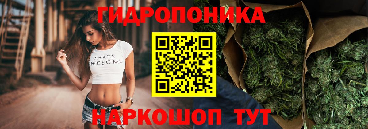 Александров  Канабис Ganja  Шишки марихуана планчик  Бошки марихуана сатива  Вход с VPN 